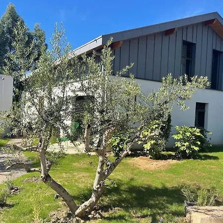Maison Hana, Piscine Et Climatise, Ecully-lyon * Écully